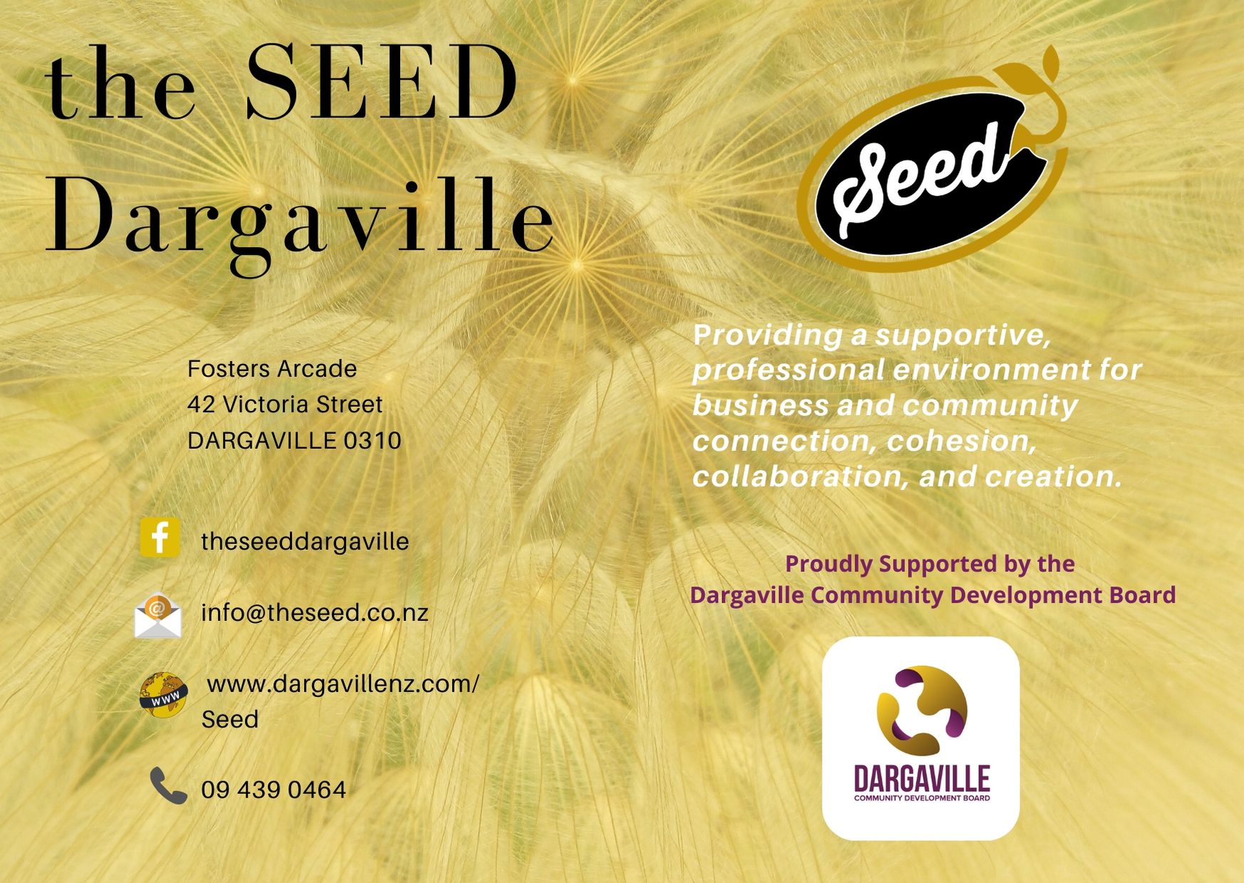 SEED contact us